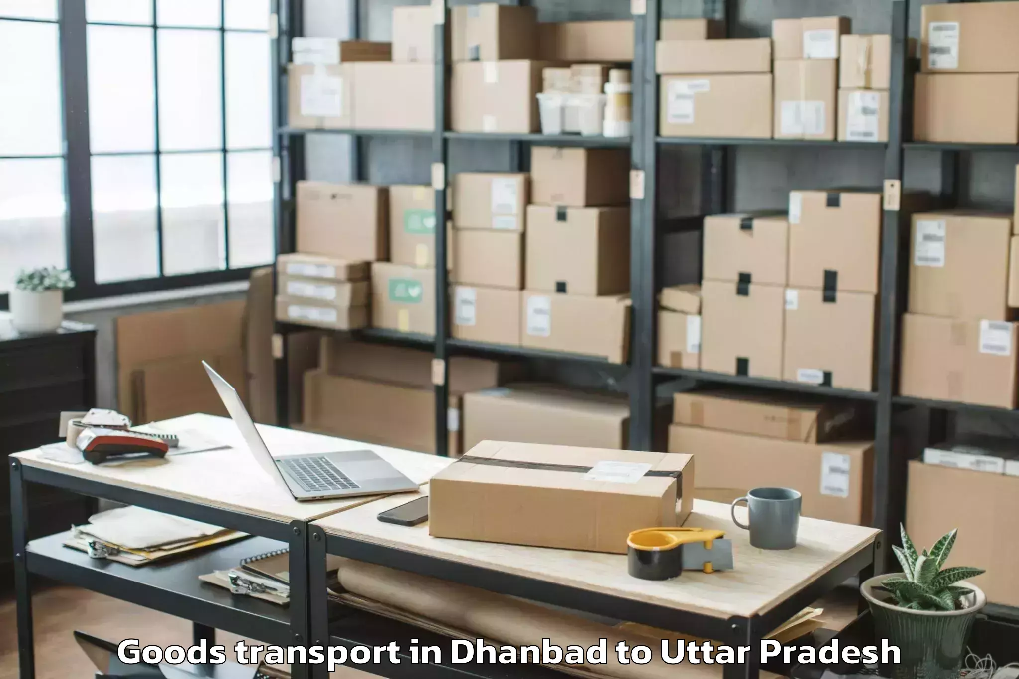 Book Dhanbad to Mohammdi Goods Transport Online